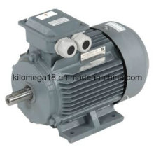 Industry Electric Motor Y Y2 Series 0.75kw-280kw